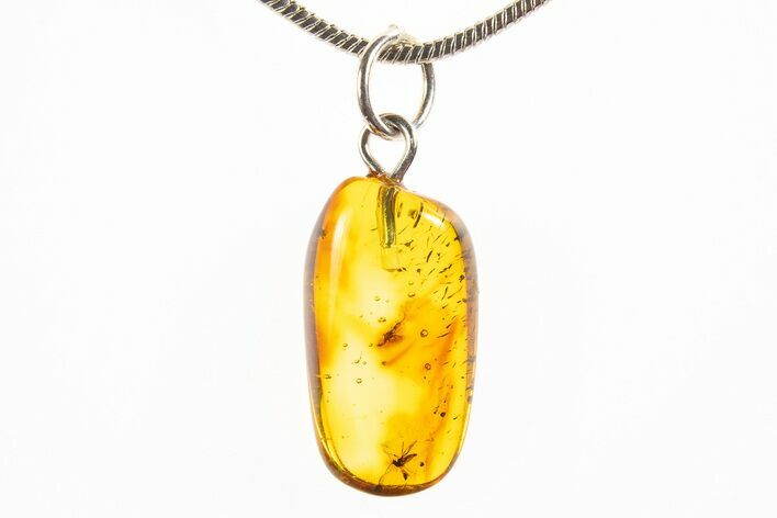 Polished Baltic Amber Pendant (Necklace) - Contains Flies! #312234